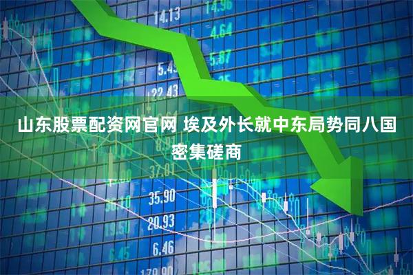山东股票配资网官网 埃及外长就中东局势同八国密集磋商