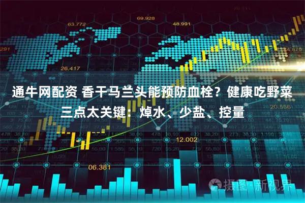 通牛网配资 香干马兰头能预防血栓？健康吃野菜三点太关键：焯水、少盐、控量